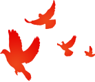 18574646392288a840b590382b8fc672.png